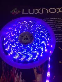 UV LED осветление