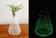 Glow-in-the-Dark Glass Paint